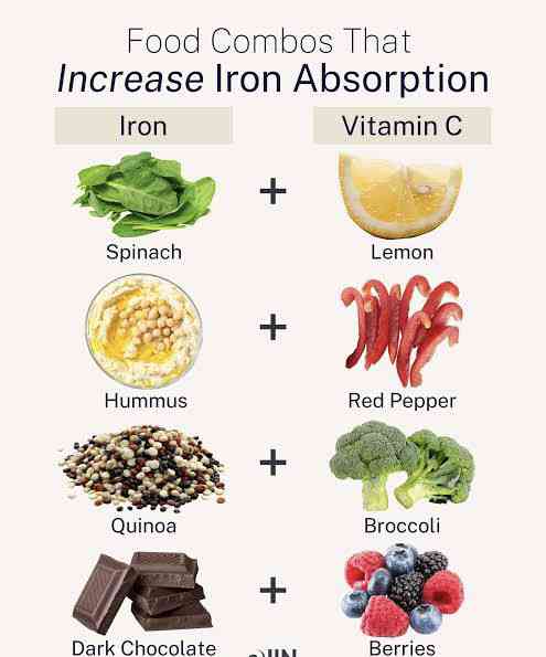 Iron rich foods for a healthy growth and development | General Wellness